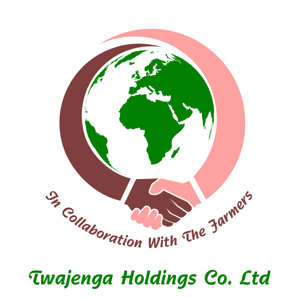 Twajenga Holdings Co. Ltd